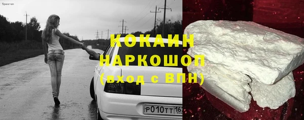 крисы Баксан