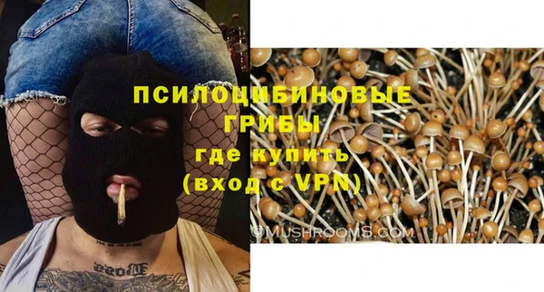 крисы Балахна