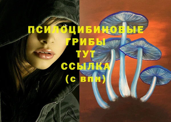 прущие крисы Балабаново